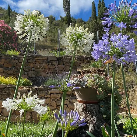 Casa Lola Rodeados De Montañas Y Rios Apartamento